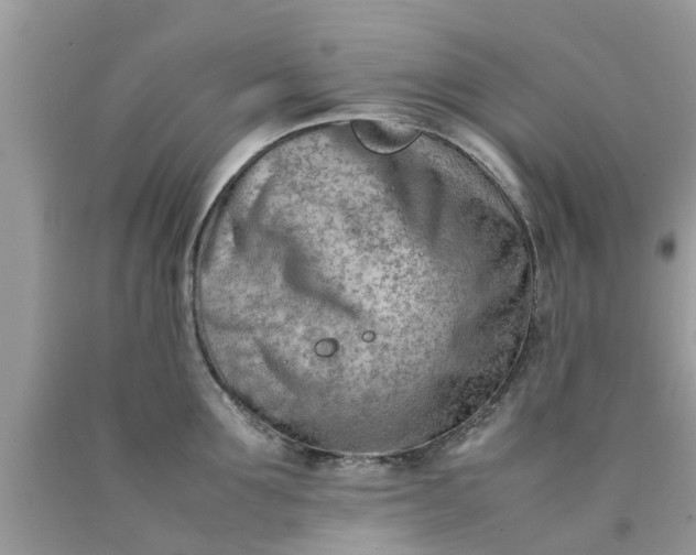 X0000090430907200707272129