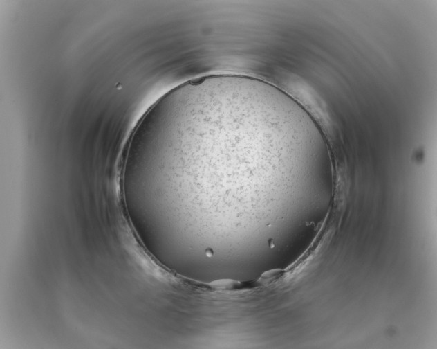 X0000090430908200707272129