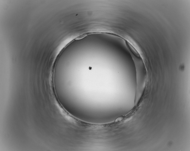 X0000090430909200707272129