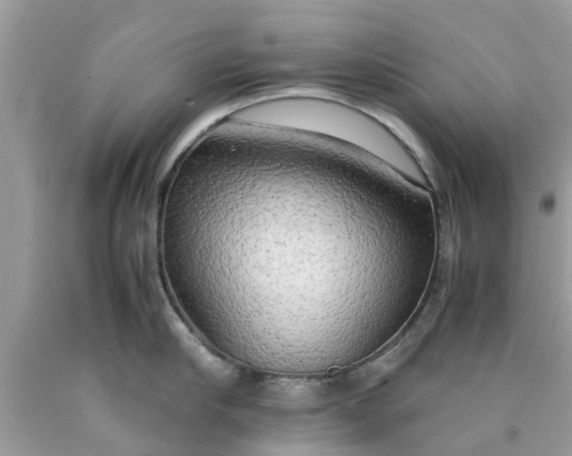 X0000090430910200707272129