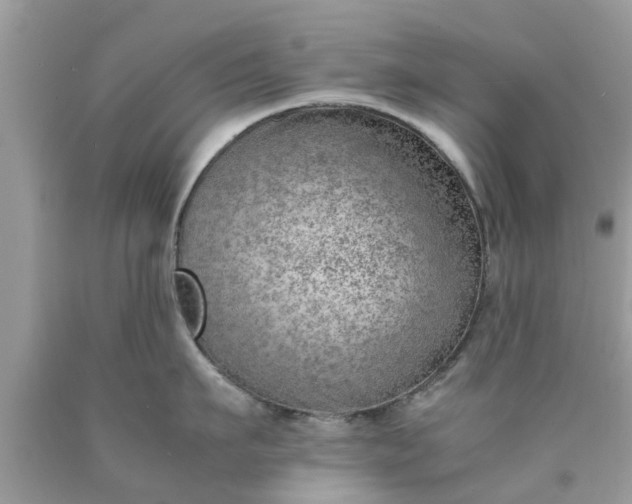 X0000090430911200707272129