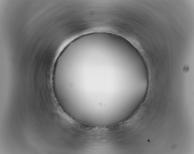 X0000090430912200707272129