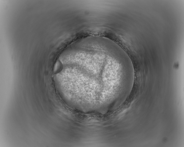 X0000090430913200707272128