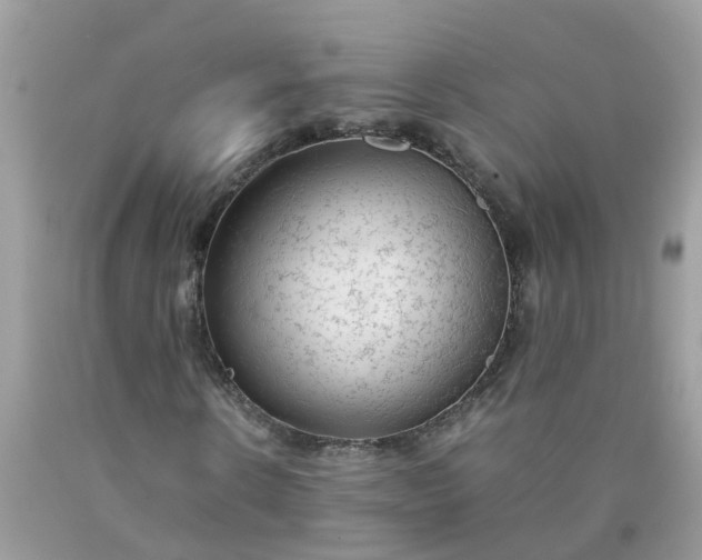 X0000090430914200707272128