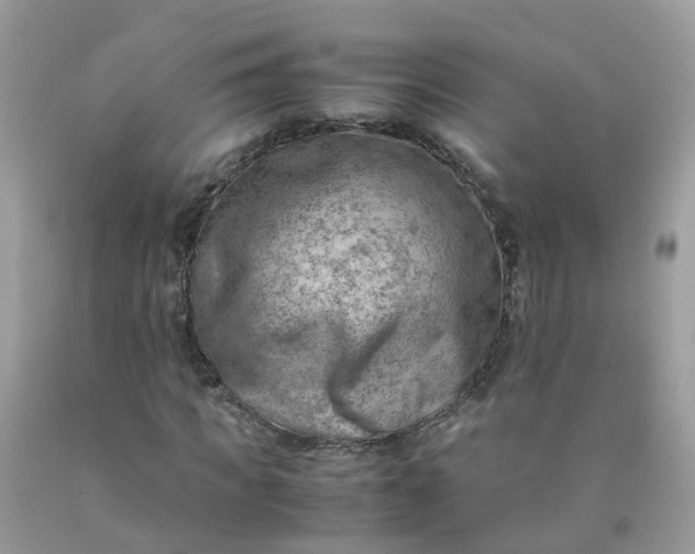 X0000090430917200707272128