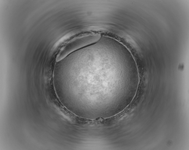 X0000090430920200707272128