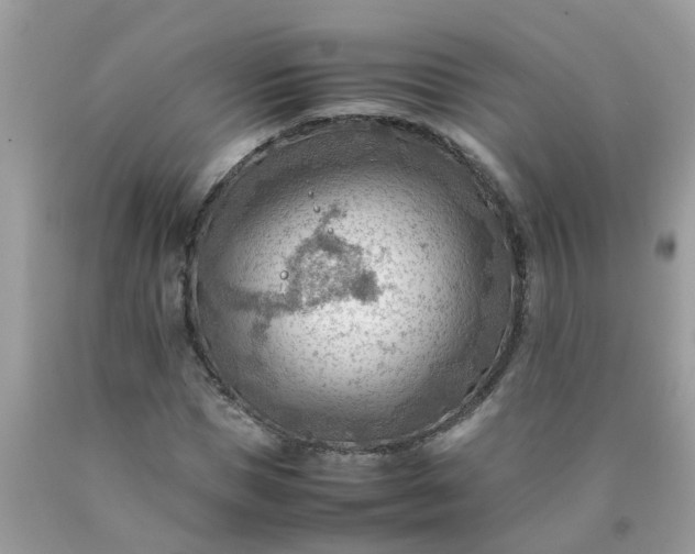 X0000090430921200707272128