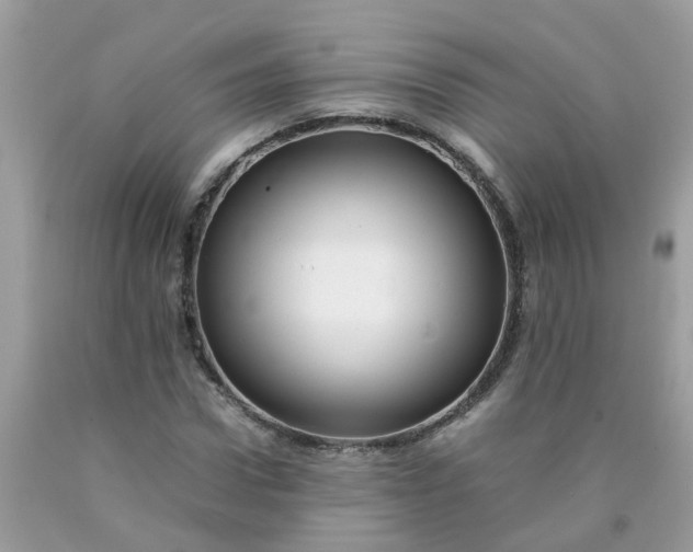 X0000090430922200707272128