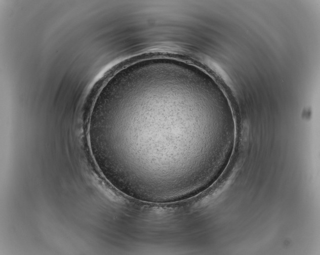 X0000090430923200707272128