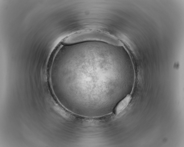 X0000090430924200707272128