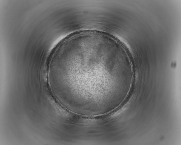 X0000090430925200707272128