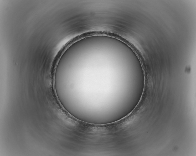 X0000090430927200707272128