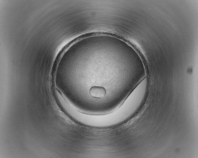 X0000090430928200707272128