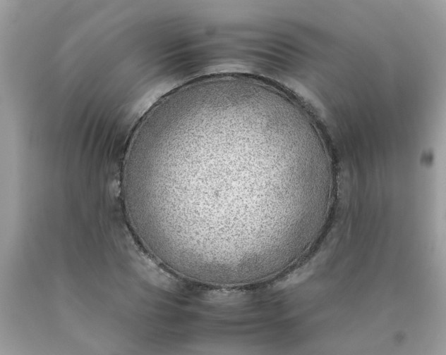 X0000090430929200707272128