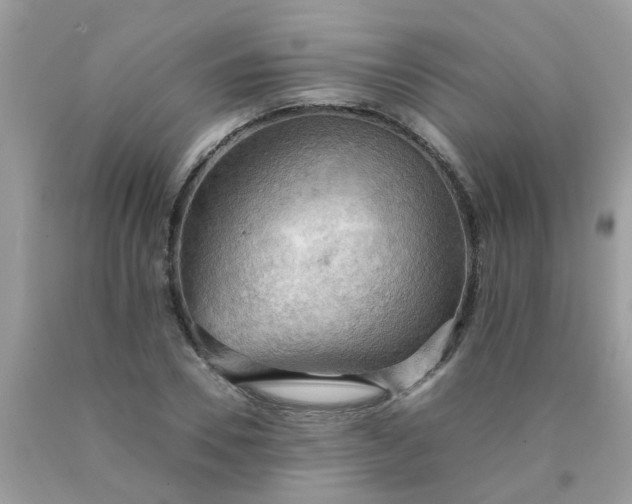 X0000090430930200707272128