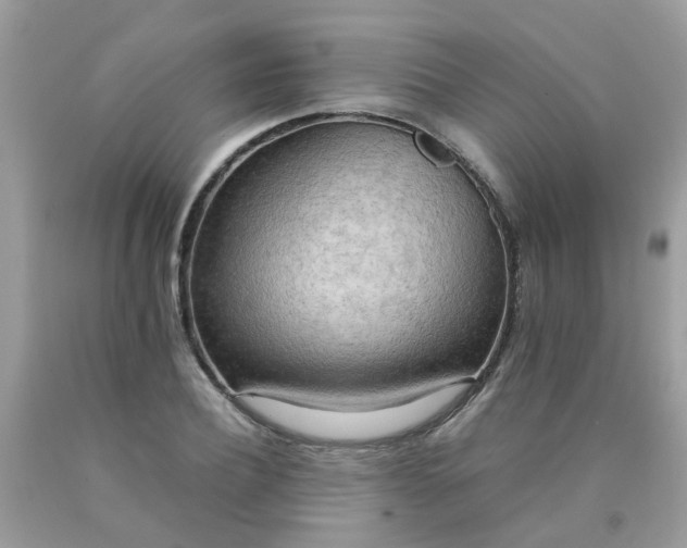 X0000090430932200707272128