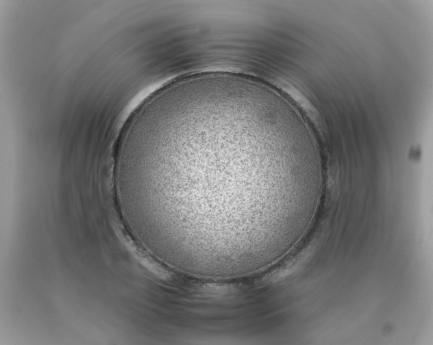 X0000090430933200707272128