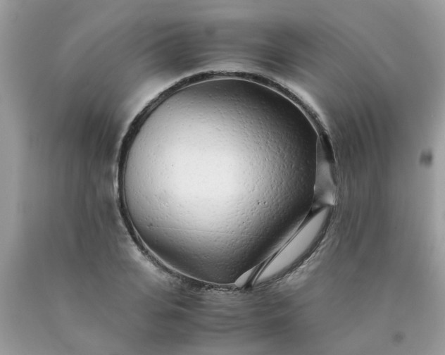 X0000090430935200707272128