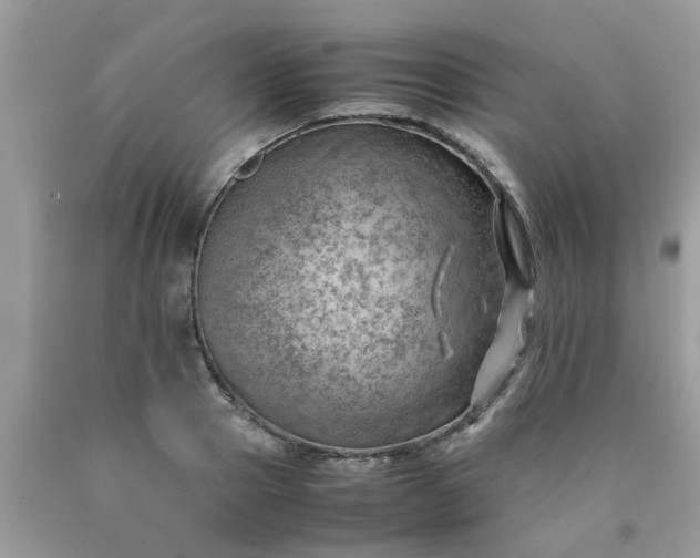 X0000090430937200707272128