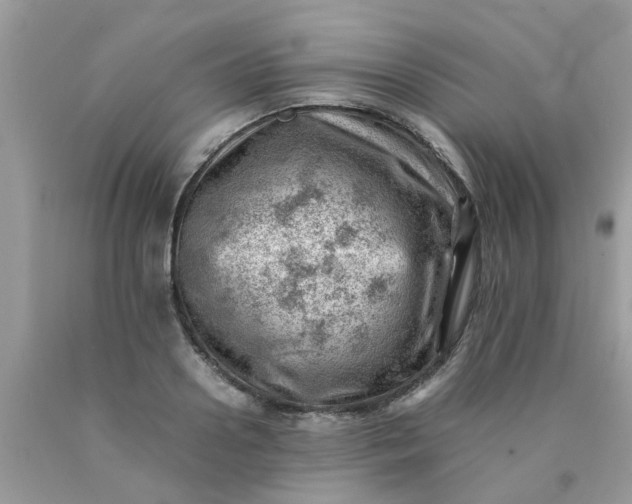 X0000090430938200707272128