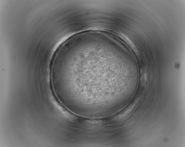 X0000090430939200707272128