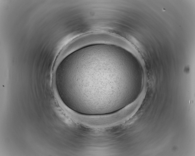 X0000090430940200707272128