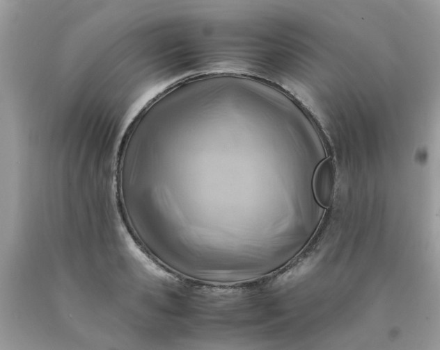 X0000090430941200707272128