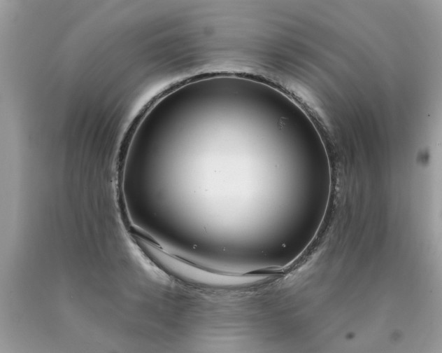 X0000090430942200707272128