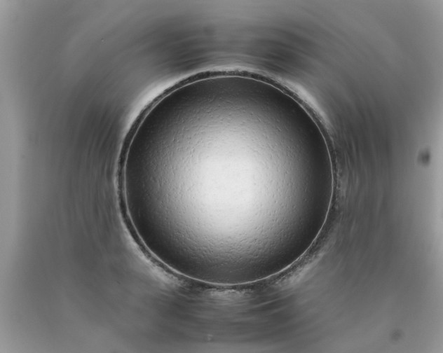 X0000090430943200707272128