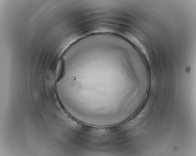 X0000090430945200707272128