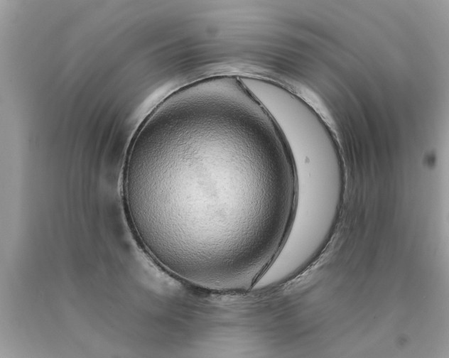 X0000090430946200707272128