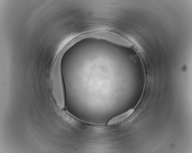 X0000090430948200707272128