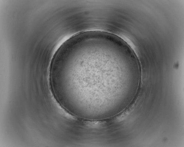 X0000090430949200707272128