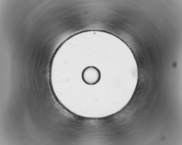 X0000090430950200707272129