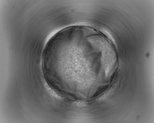 X0000090430952200707272129