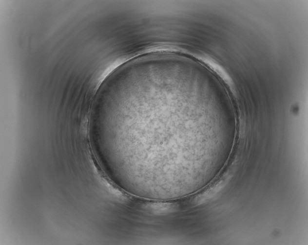 X0000090430953200707272129