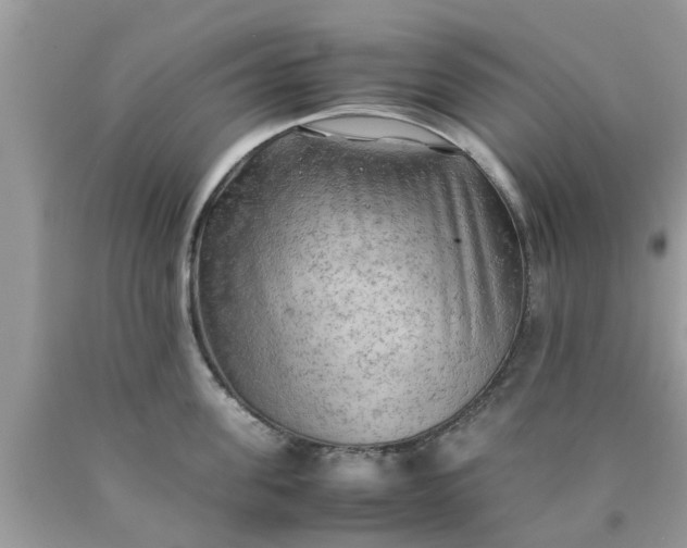 X0000090430955200707272129