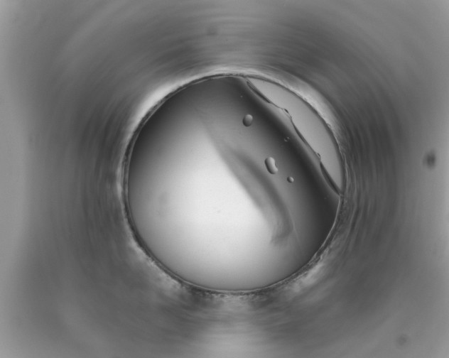 X0000090430958200707272129