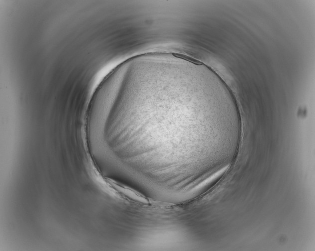 X0000090430960200707272129