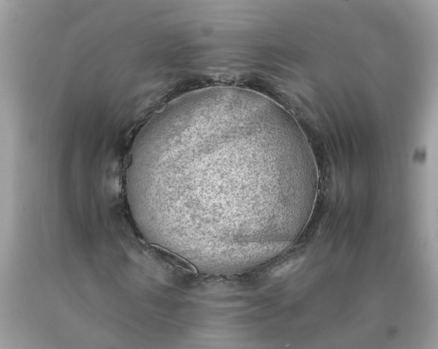 X0000090430962200707272128