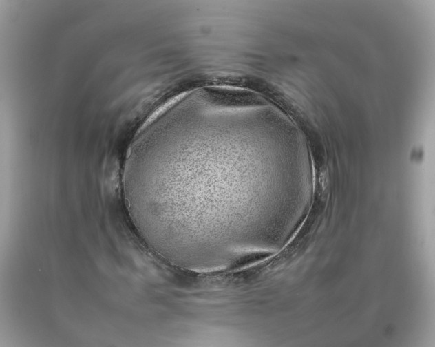 X0000090430963200707272128