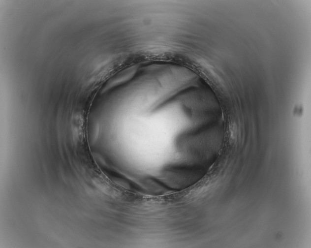 X0000090430964200707272128