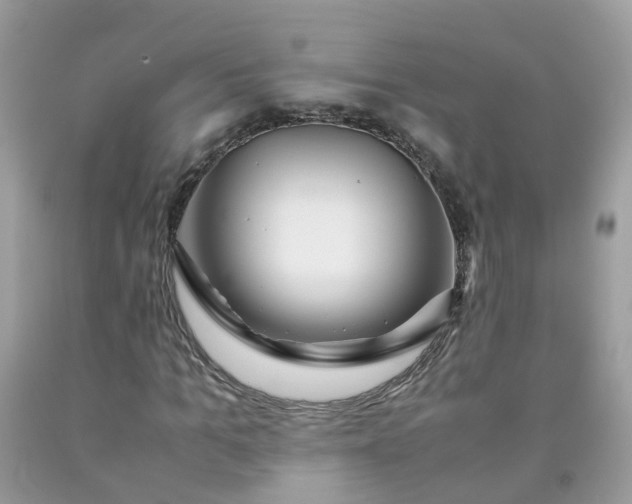 X0000090430965200707272128