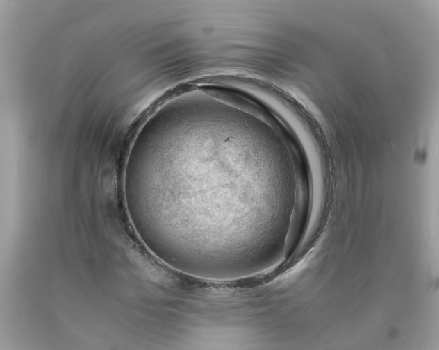 X0000090430969200707272128