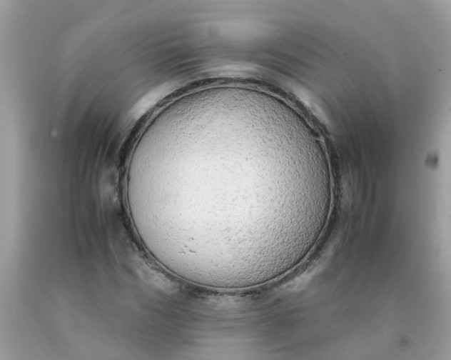 X0000090430970200707272128