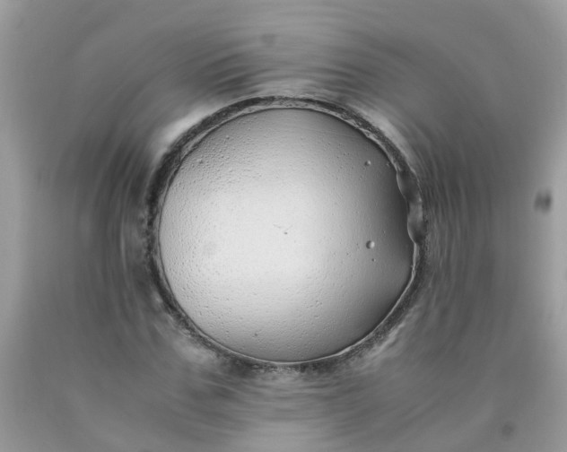 X0000090430971200707272128