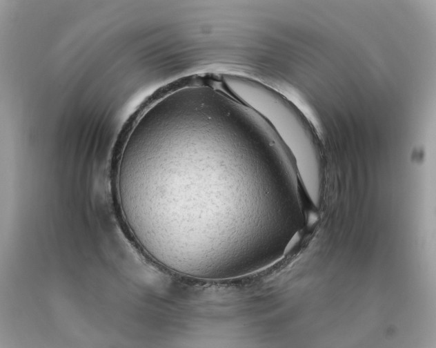 X0000090430972200707272128