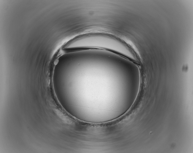 X0000090430973200707272128