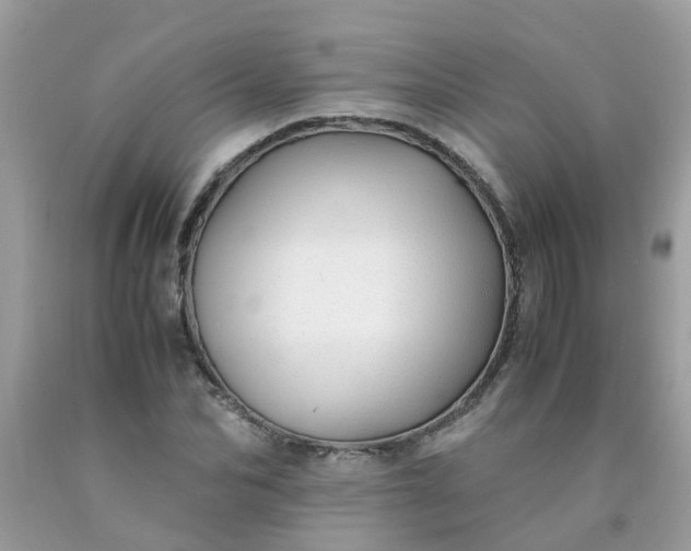 X0000090430974200707272128