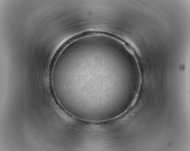 X0000090430976200707272128